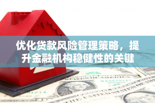 西林优化贷款风险管理策略，提升金融机构稳健性的关键