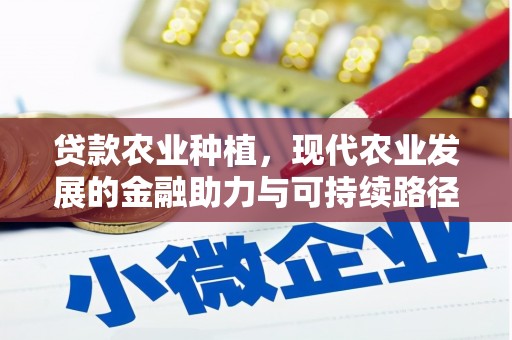 西林贷款农业种植，现代农业发展的金融助力与可持续路径