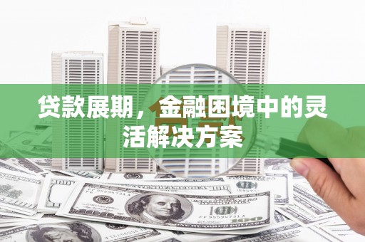 西林贷款展期，金融困境中的灵活解决方案