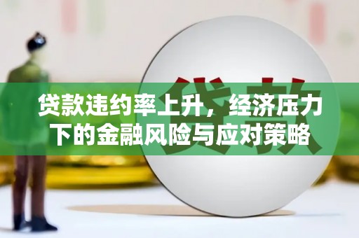 西林贷款违约率上升，经济压力下的金融风险与应对策略