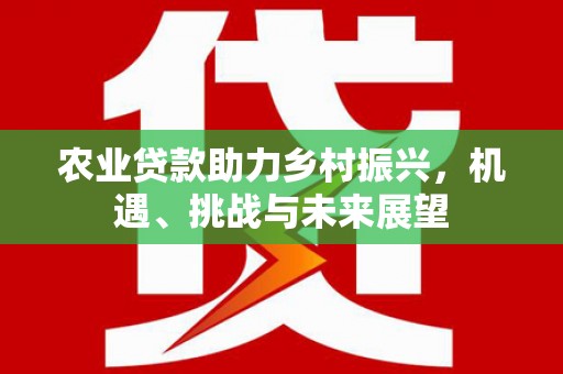 西林农业贷款助力乡村振兴，机遇、挑战与未来展望