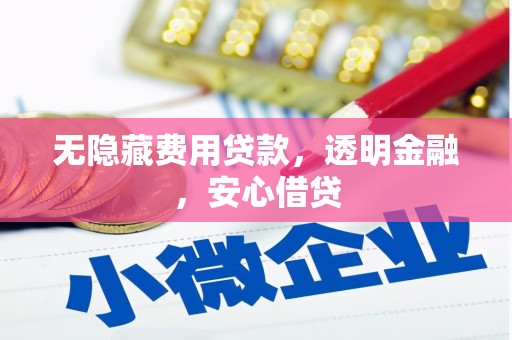 西林无隐藏费用贷款，透明金融，安心借贷