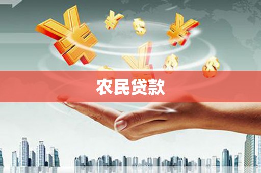 西林农民贷款