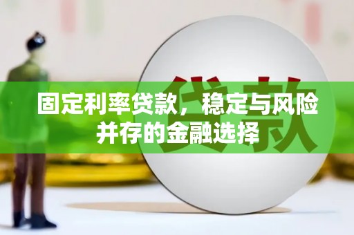 西林固定利率贷款，稳定与风险并存的金融选择