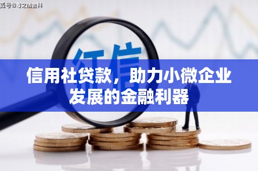 西林信用社贷款，助力小微企业发展的金融利器