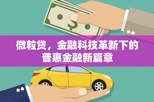 西林微粒贷，金融科技革新下的普惠金融新篇章