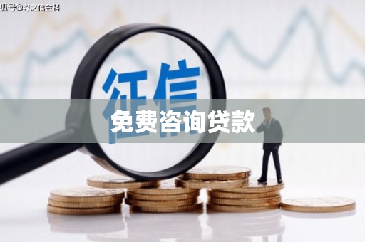 西林免费咨询贷款