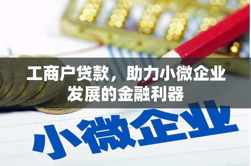 西林工商户贷款，助力小微企业发展的金融利器