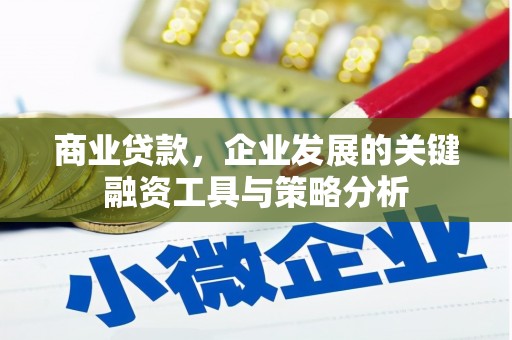 西林商业贷款，企业发展的关键融资工具与策略分析