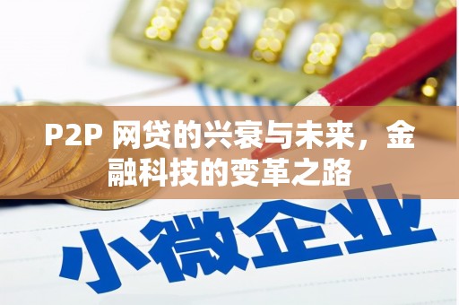 西林P2P 网贷的兴衰与未来，金融科技的变革之路