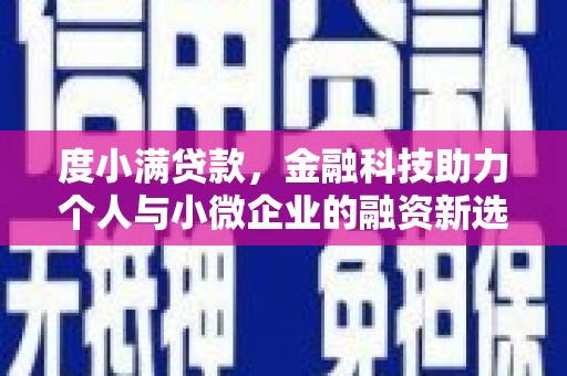 西林度小满贷款，金融科技助力个人与小微企业的融资新选择