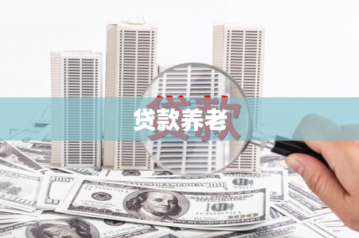 西林贷款养老