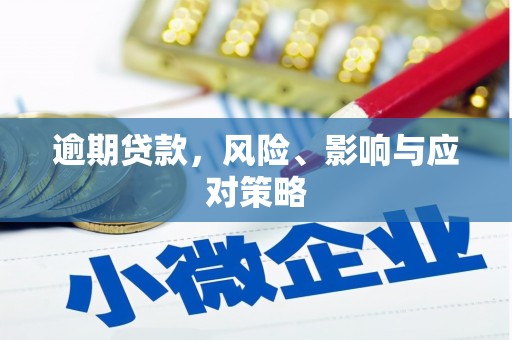 西林逾期贷款，风险、影响与应对策略