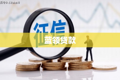 西林蓝领贷款