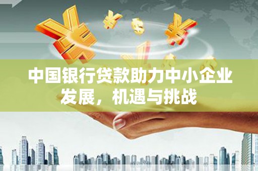 西林中国银行贷款助力中小企业发展，机遇与挑战