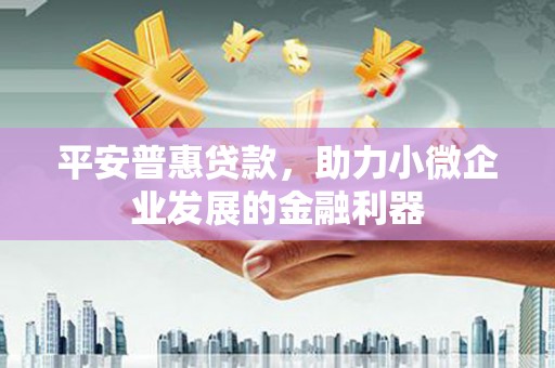 西林平安普惠贷款，助力小微企业发展的金融利器