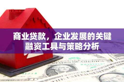 西林商业贷款，企业发展的关键融资工具与策略分析