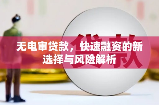 西林无电审贷款，快速融资的新选择与风险解析