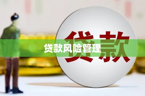 西林贷款风险管理