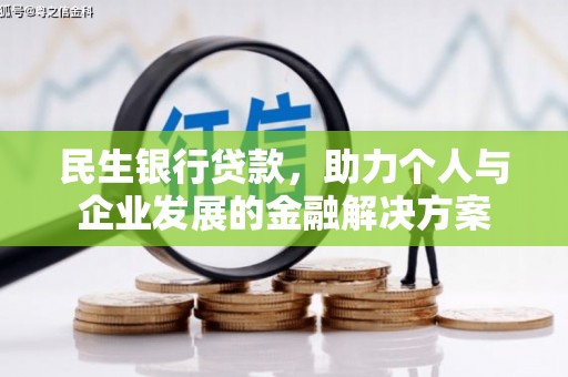 西林民生银行贷款，助力个人与企业发展的金融解决方案