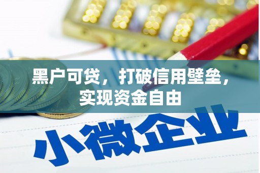 西林黑户可贷，打破信用壁垒，实现资金自由