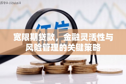 西林宽限期贷款，金融灵活性与风险管理的关键策略