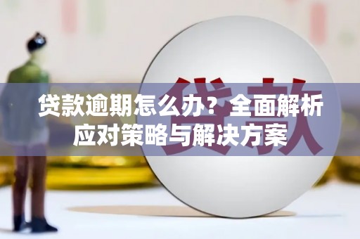 西林贷款逾期怎么办？全面解析应对策略与解决方案