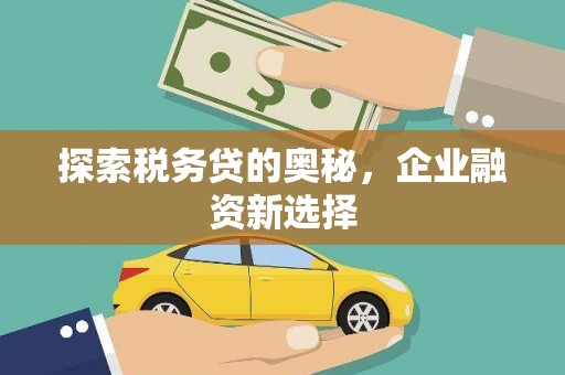 西林探索税务贷的奥秘，企业融资新选择