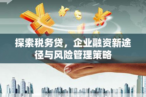 西林探索税务贷，企业融资新途径与风险管理策略