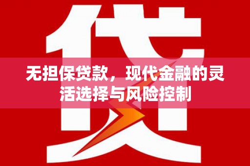 西林无担保贷款，现代金融的灵活选择与风险控制