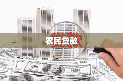 西林农民贷款