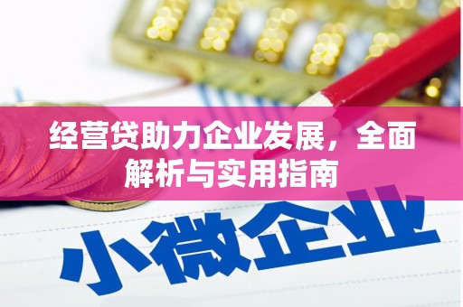 西林经营贷助力企业发展，全面解析与实用指南