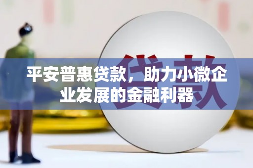 西林平安普惠贷款，助力小微企业发展的金融利器