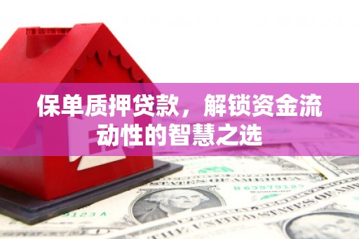 西林保单质押贷款，解锁资金流动性的智慧之选