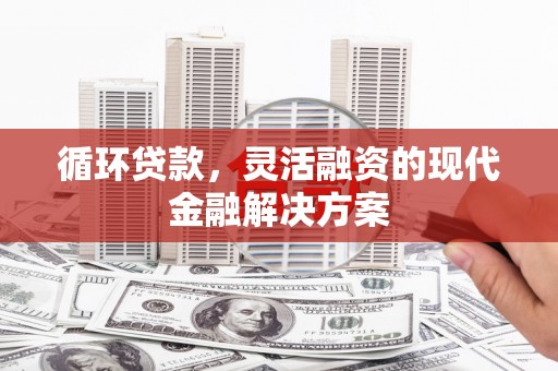 西林循环贷款，灵活融资的现代金融解决方案