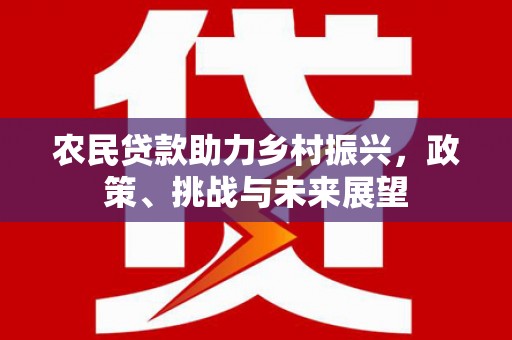 西林农民贷款助力乡村振兴，政策、挑战与未来展望