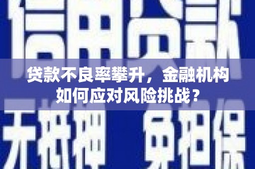 西林贷款不良率攀升，金融机构如何应对风险挑战？