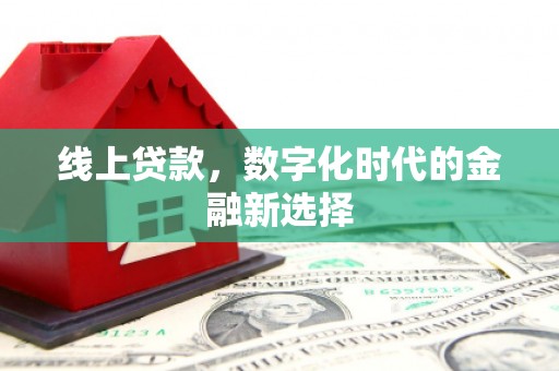 西林线上贷款，数字化时代的金融新选择