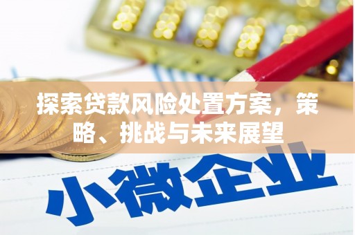 西林探索贷款风险处置方案，策略、挑战与未来展望
