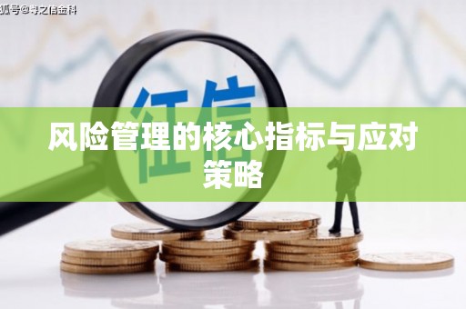 西林风险管理的核心指标与应对策略