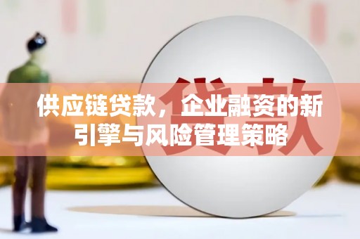 西林供应链贷款，企业融资的新引擎与风险管理策略