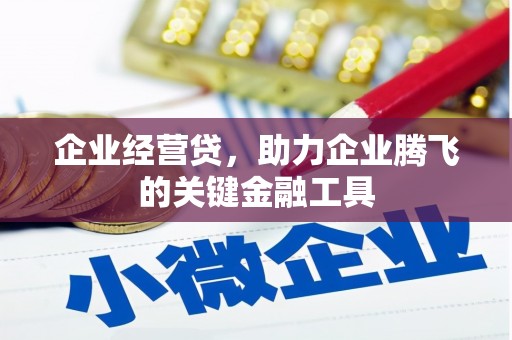 西林企业经营贷，助力企业腾飞的关键金融工具