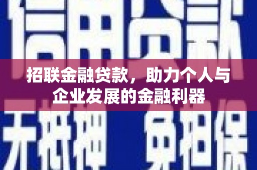 西林招联金融贷款，助力个人与企业发展的金融利器