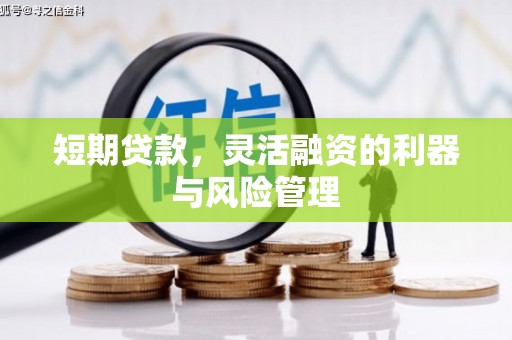 西林短期贷款，灵活融资的利器与风险管理