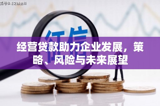 西林经营贷款助力企业发展，策略、风险与未来展望