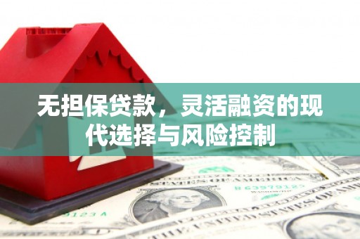 西林无担保贷款，灵活融资的现代选择与风险控制
