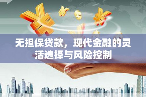 西林无担保贷款，现代金融的灵活选择与风险控制