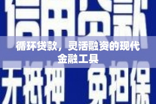 西林循环贷款，灵活融资的现代金融工具