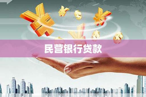 西林民营银行贷款