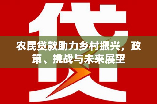 西林农民贷款助力乡村振兴，政策、挑战与未来展望